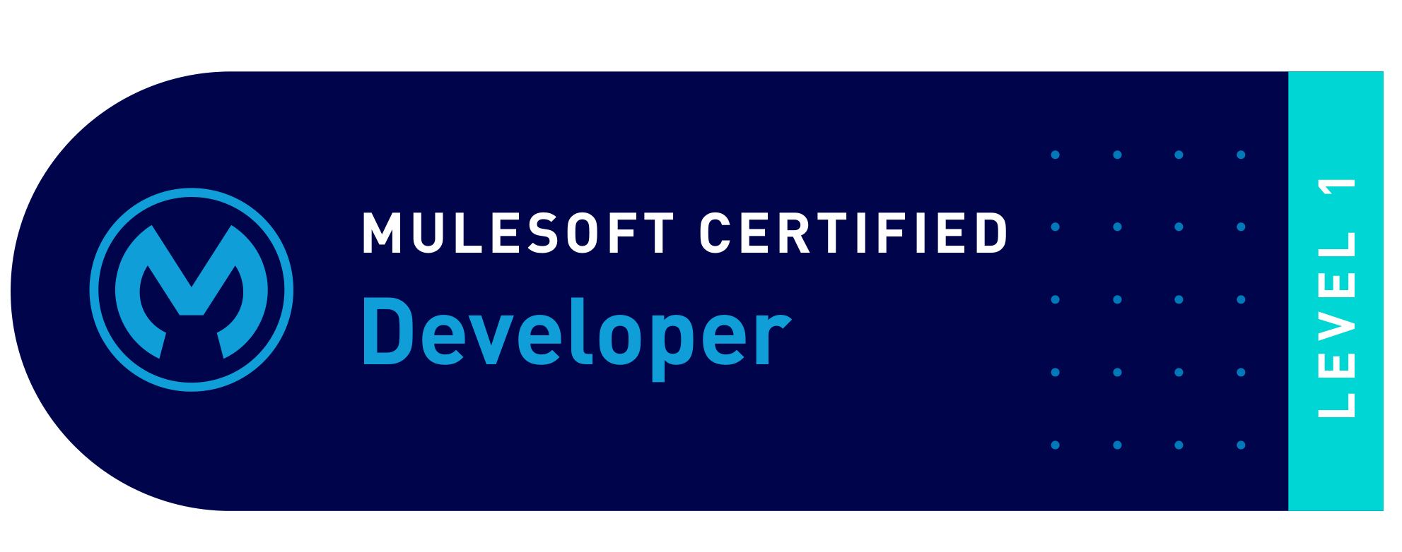 MuleSoft Certified Developer - Level 1